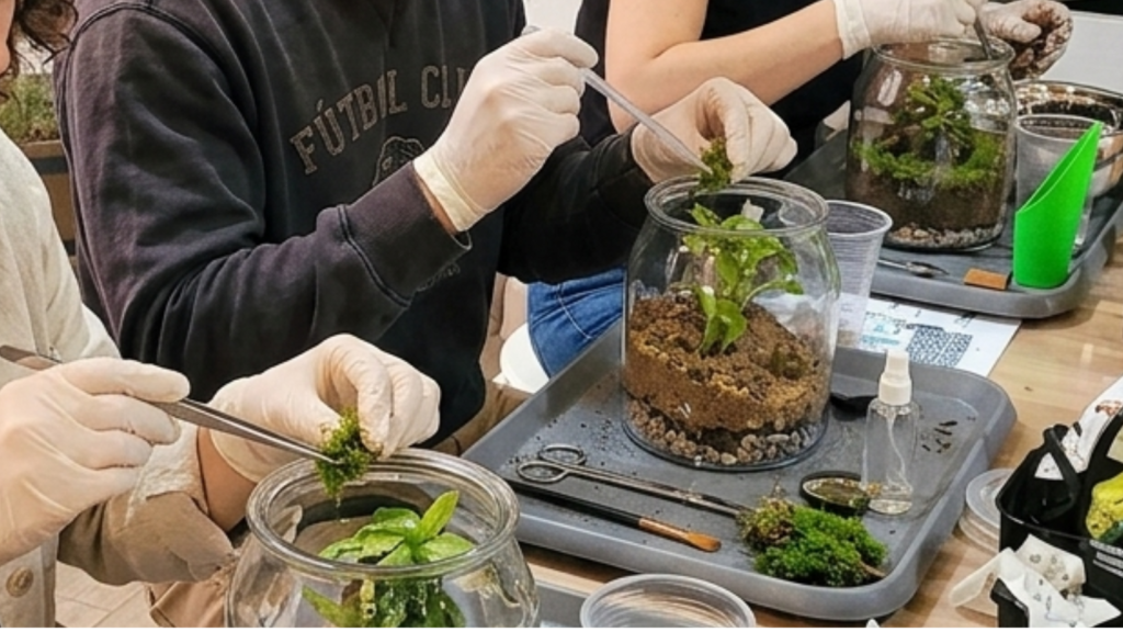 Proceso de montaje de un terrario de cristal durante un taller creativo de terrarios en Barcelona.